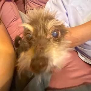 Meet your Posher, Celia